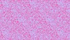 Pattern: 8137 P,  Quantity: Half Metre