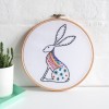 Pattern: HARE