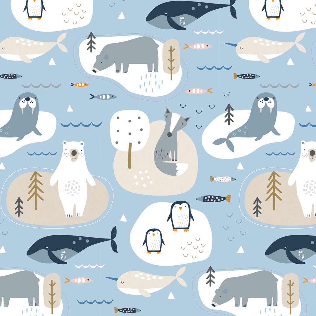 Dashwood │ Habitat │ Polar