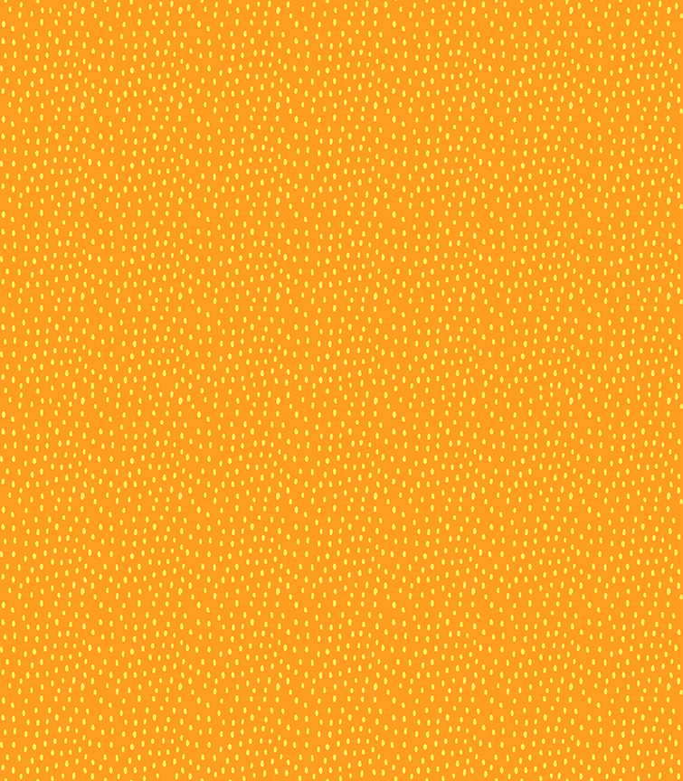 Stof │ Quilters Basic │ 4520 204