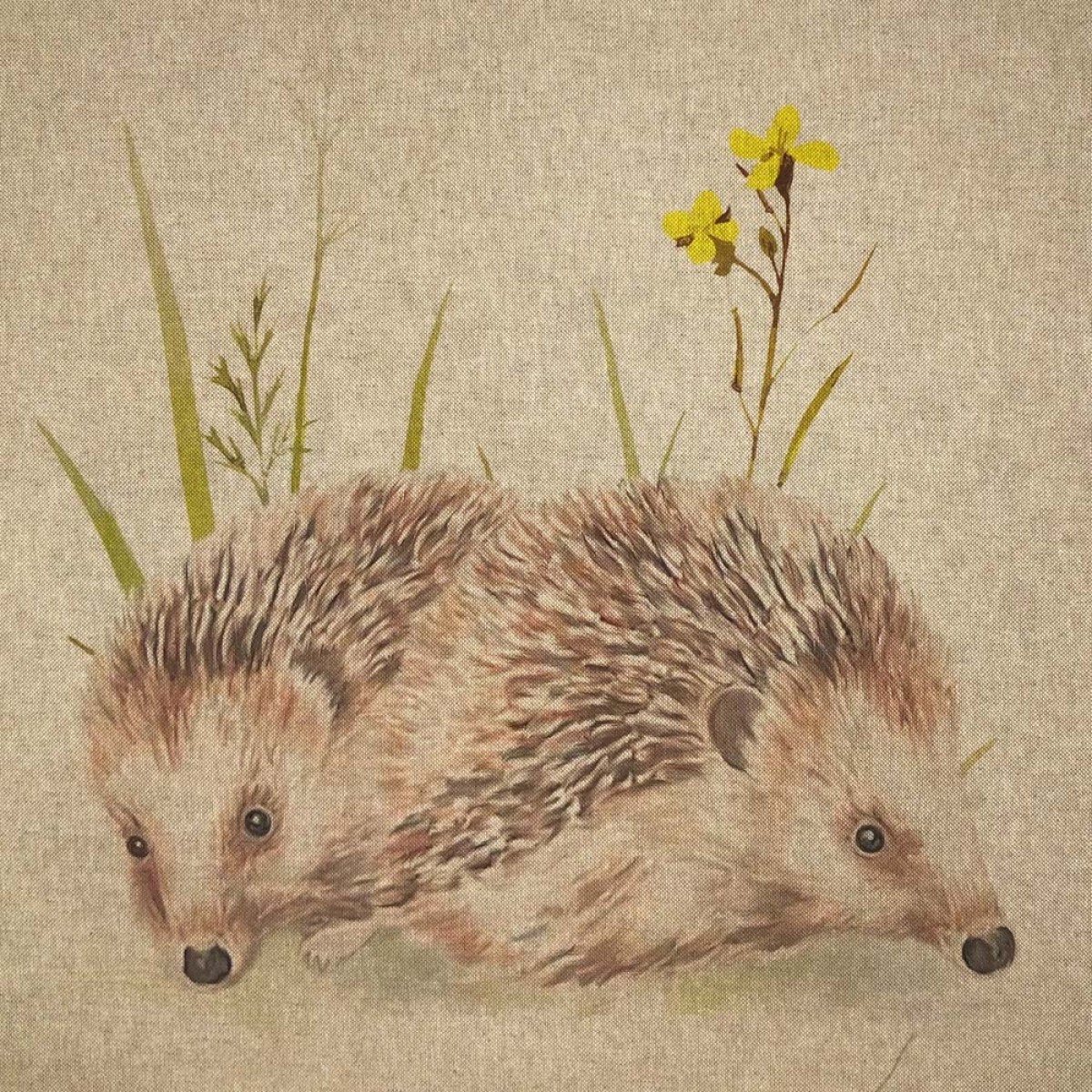 Hedgehogs panel- Pop Art Linen CLP008