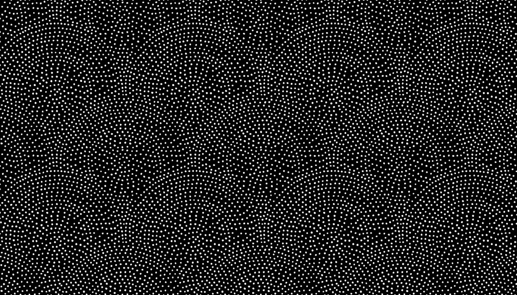 Monochrome - Dotty Scallop Black -1831/X