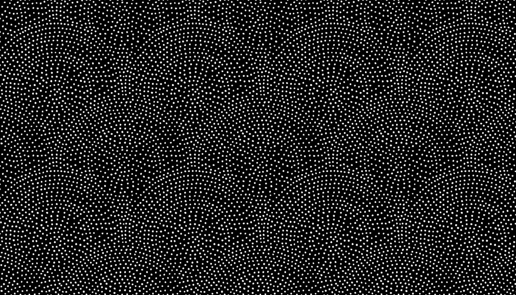 Monochrome - Dotty Scallop Black -1831/X