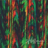 Hoffman digital - Tango Jungle