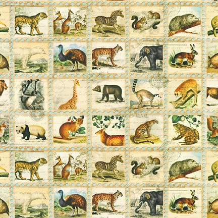 Kaufman │ Library of Rarities │ Vintage SAFARI