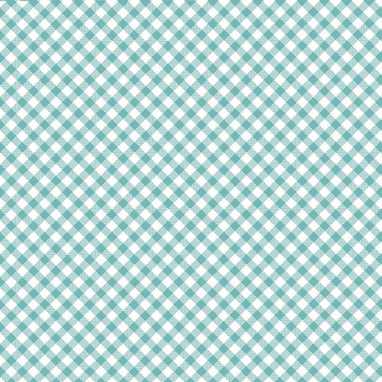 Henry Glass Ric Rac Flannel -Blue check