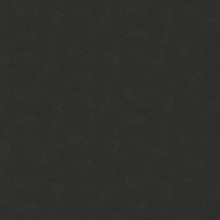 Timeless Treasures - Hue - Black C5148