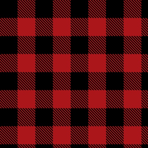 Camelot - CHECK Flannel - 2150015B
