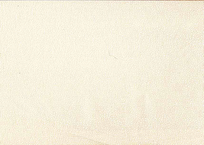 Makower Essentials │ Mini Leaf │ 764 Q2 White on Cream