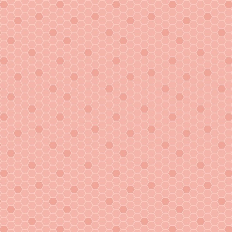 Lewis and Irene │ Bee Kind │ Peach Honeycomb