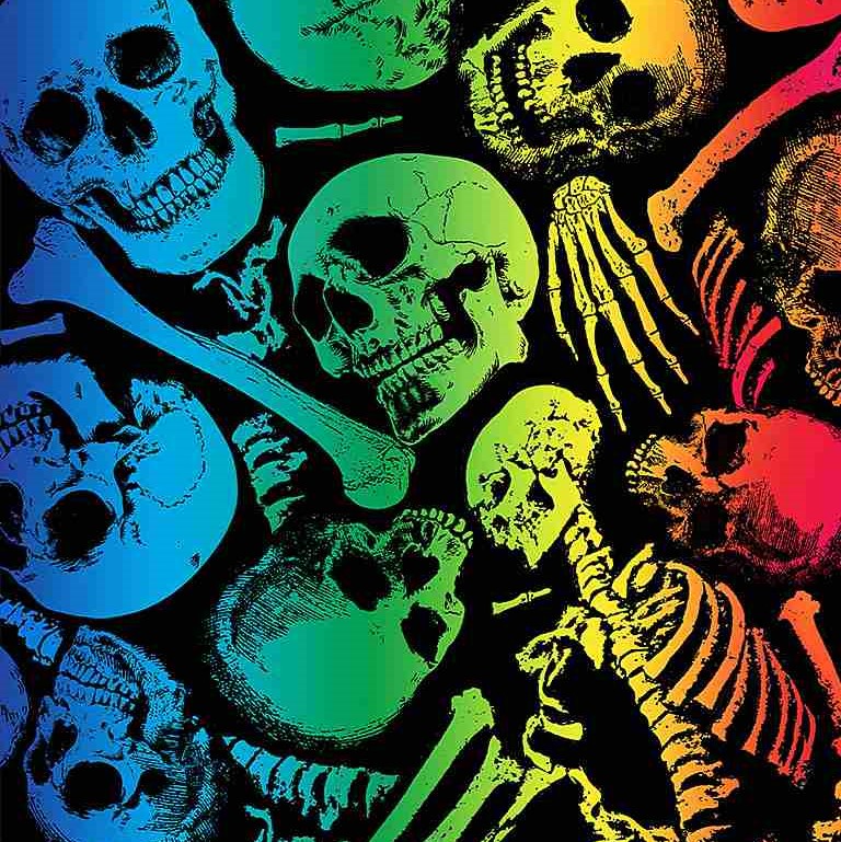 Timeless Treasures │ Rainbow Skeletons │ BLACK